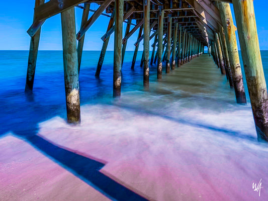 Myrtle Beach State Park: A Hidden Gem on the South Carolina Coast