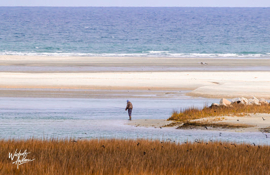The Man & The Midway Inlet