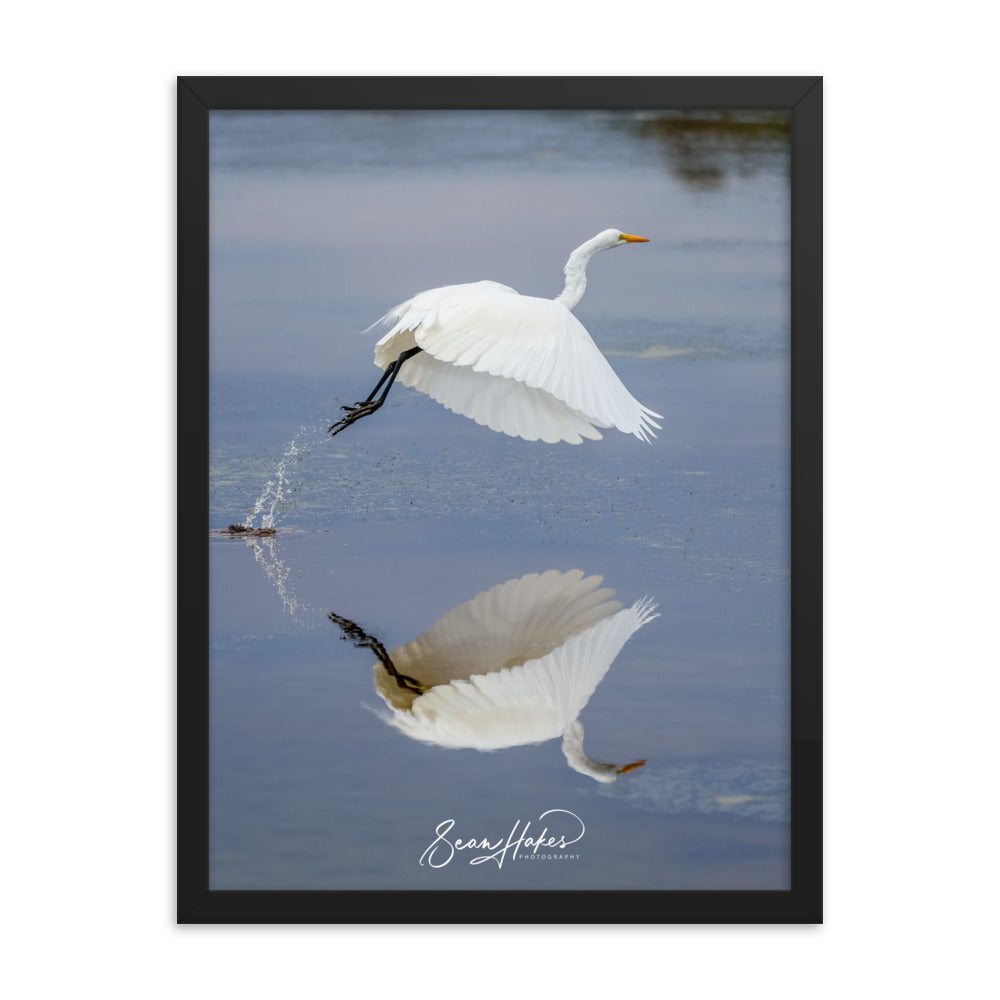 Dancing Egret - Premium Framed Print