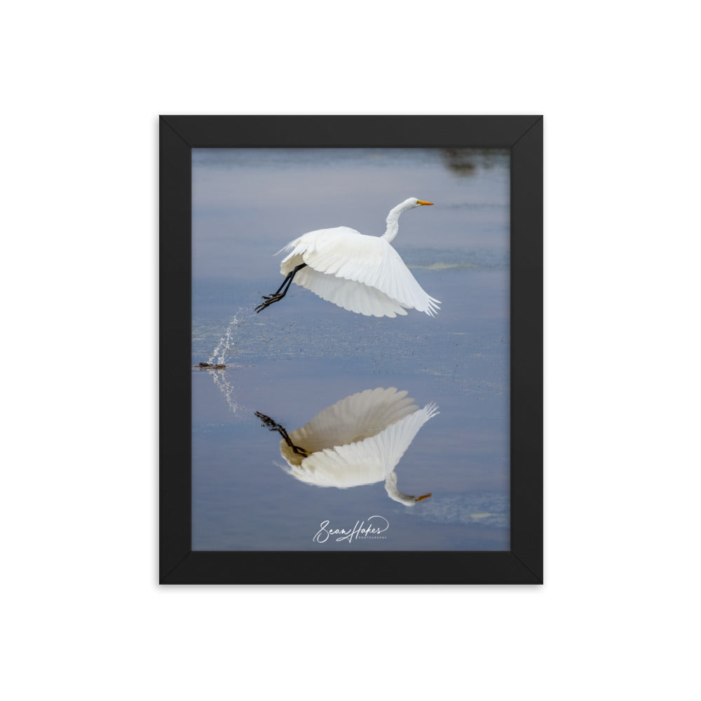 Dancing Egret - Premium Framed Print