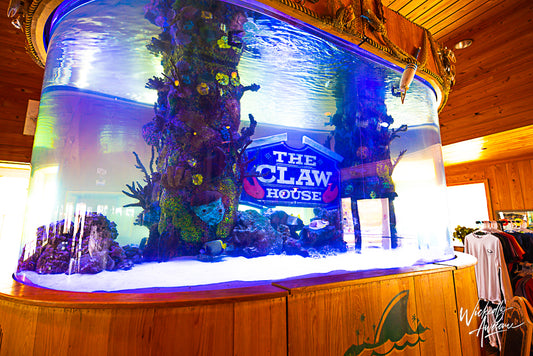 Indulge in Mouth-Watering Seafood at The Claw House