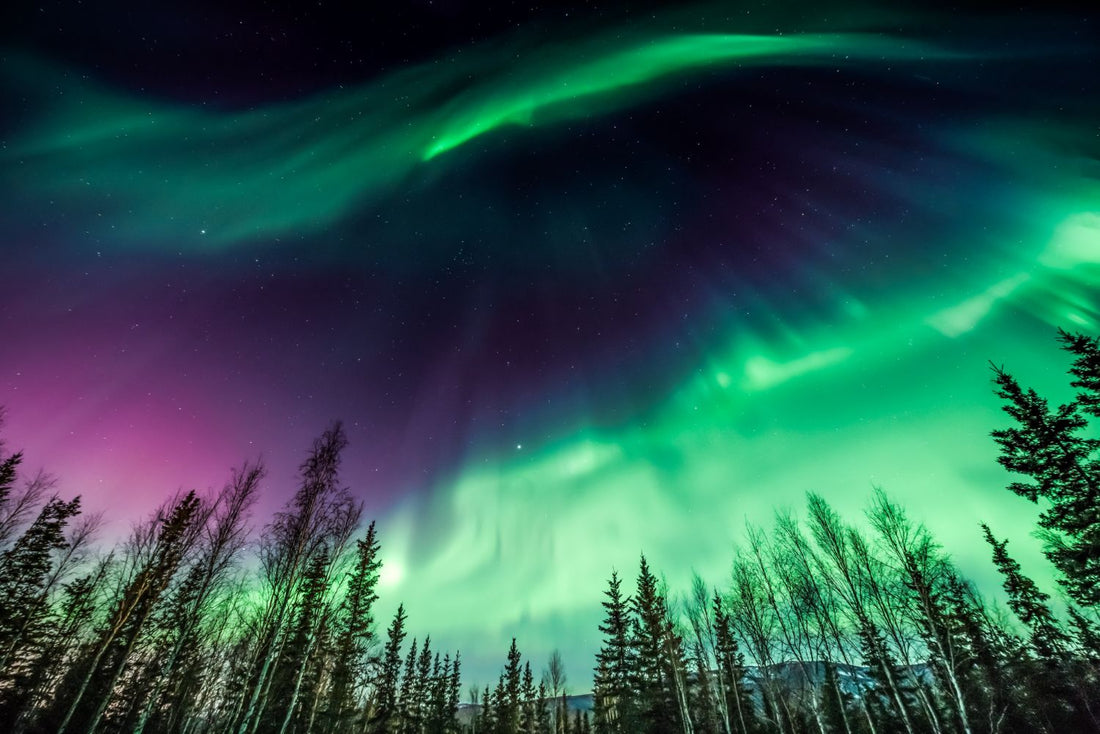 Capturing the Magic: Tips for Photographing the Northern Lights