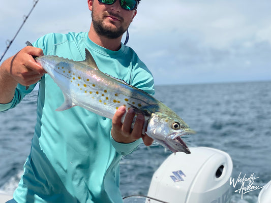 When is the best time to catch Spanish mackerel?