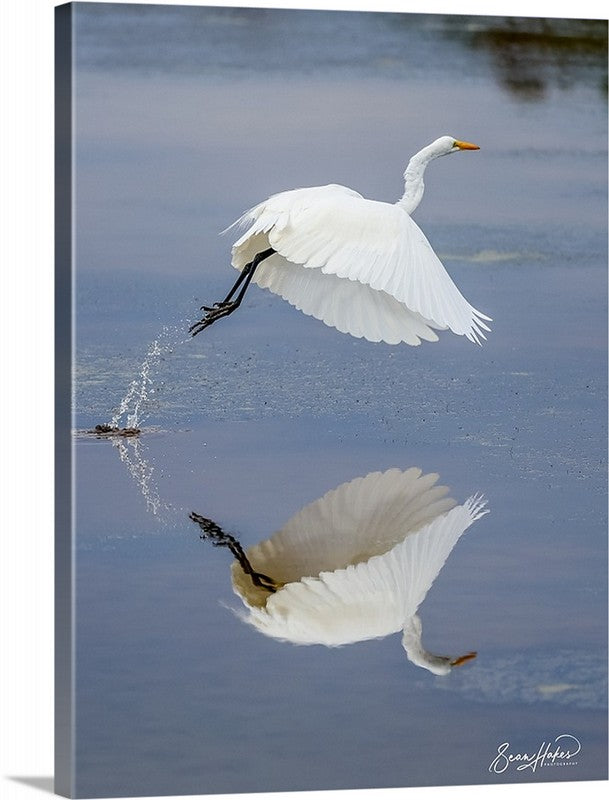 Dancing Egret - 18" x 24" Fine Art Canvas Print