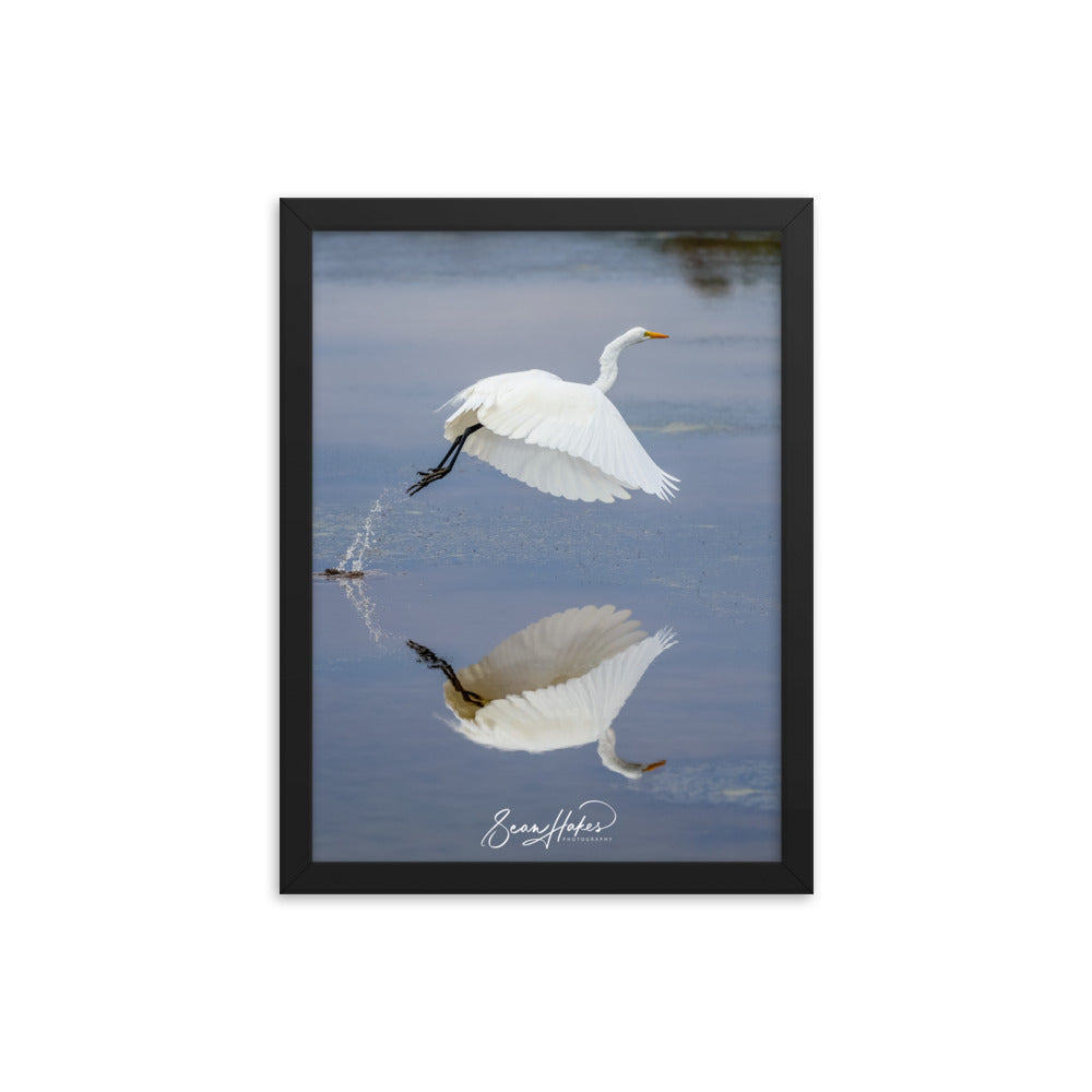 Dancing Egret - Premium Framed Print