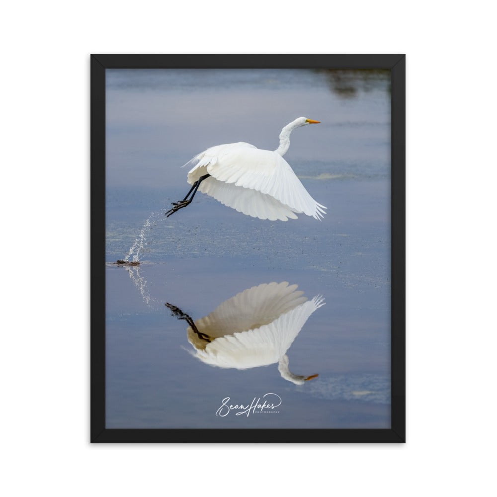 Dancing Egret - Premium Framed Print